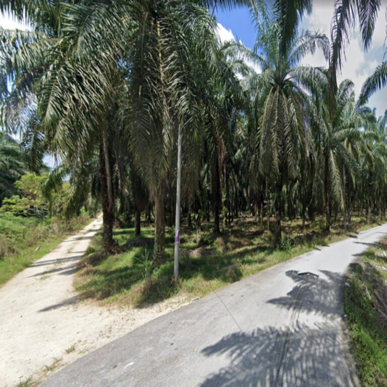 Screenshot 2024 08 02 at 3.16.51 PM 768x768